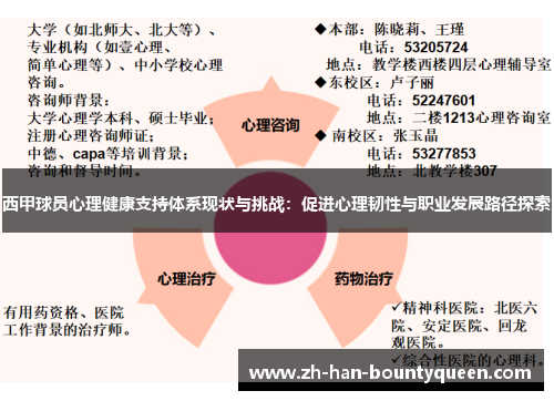 西甲球员心理健康支持体系现状与挑战：促进心理韧性与职业发展路径探索